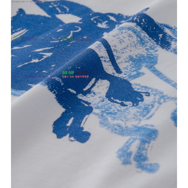    Ƽ BU2541237-2
